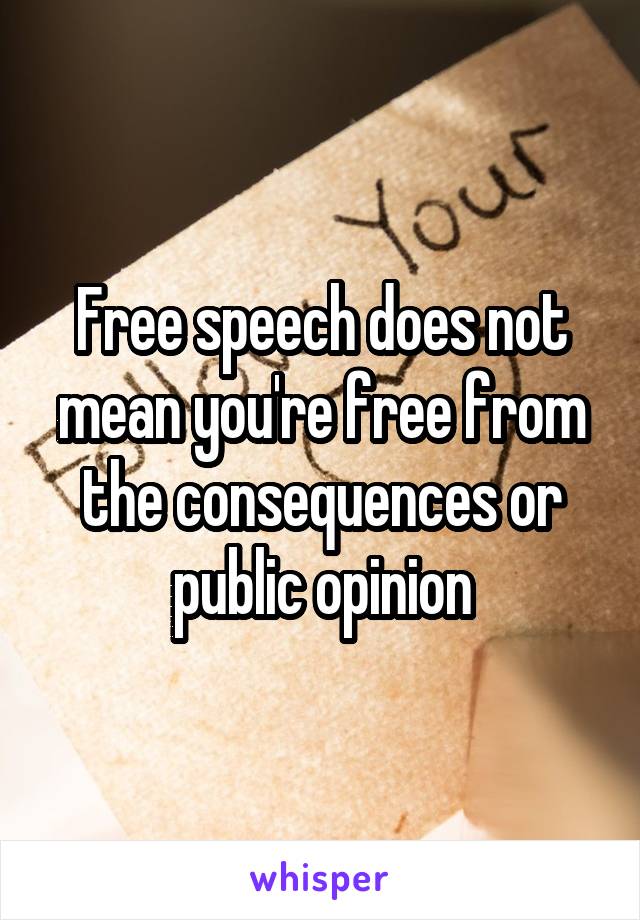 Free speech does not mean you're free from the consequences or public opinion