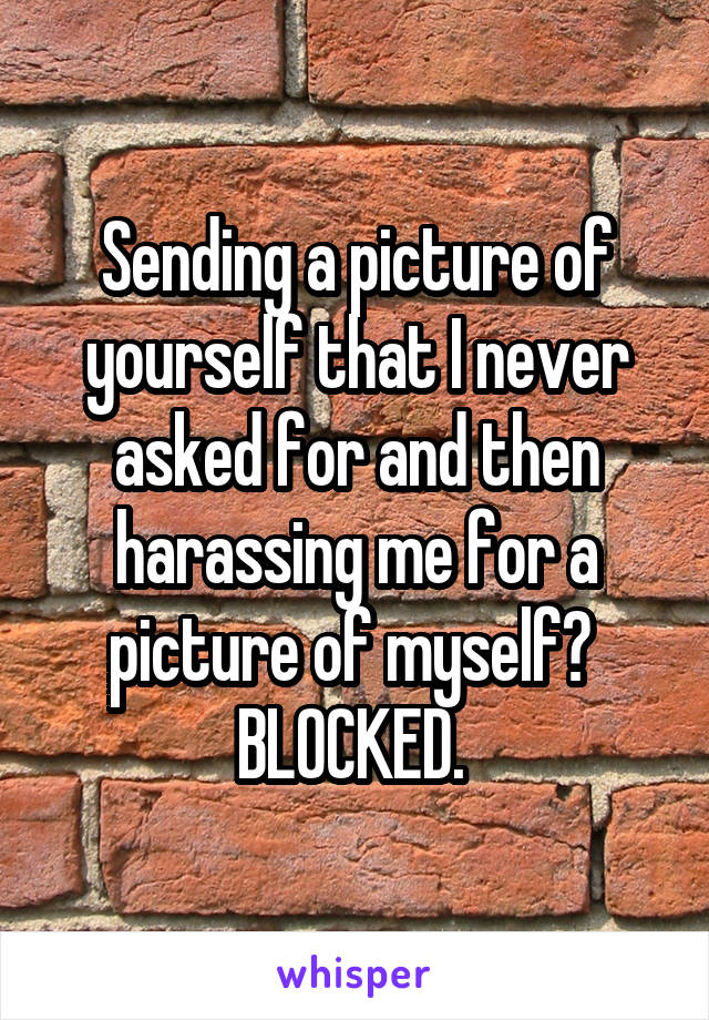 Sending a picture of yourself that I never asked for and then harassing me for a picture of myself? 
BLOCKED. 