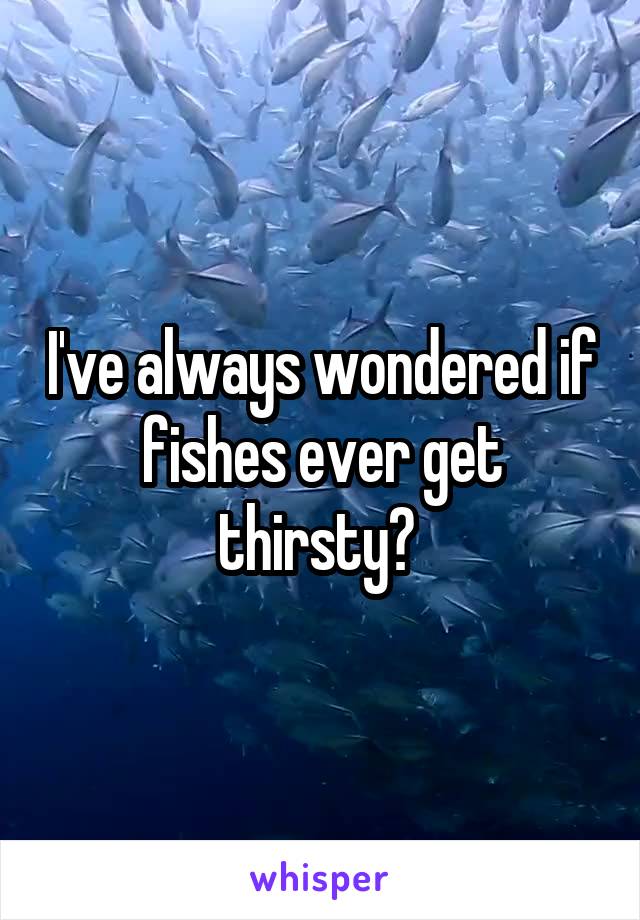 I've always wondered if fishes ever get thirsty? 