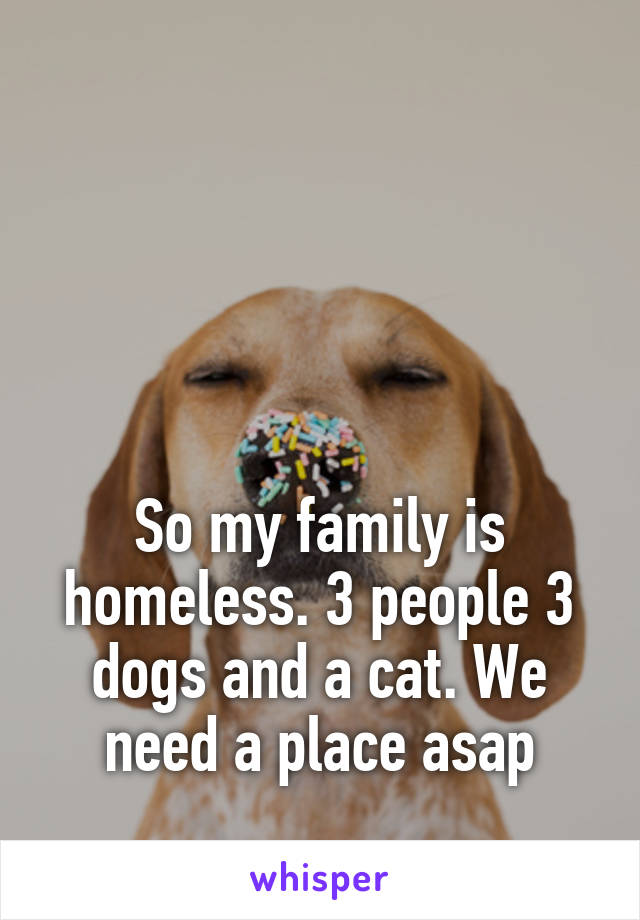 




So my family is homeless. 3 people 3 dogs and a cat. We need a place asap