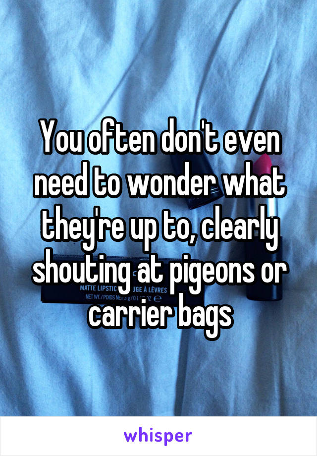 You often don't even need to wonder what they're up to, clearly shouting at pigeons or carrier bags