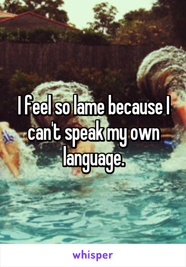 I feel so lame because I can't speak my own language.