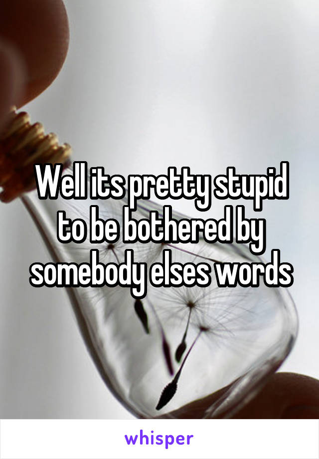 Well its pretty stupid to be bothered by somebody elses words