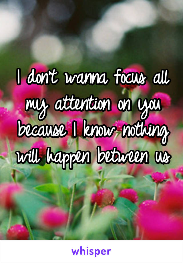 I don't wanna focus all my attention on you because I know nothing will happen between us 