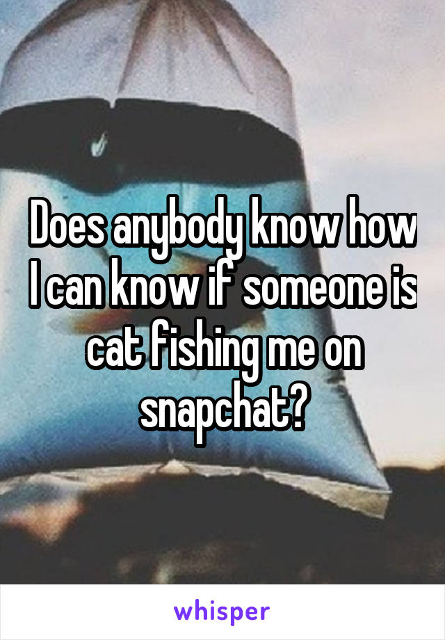 Does anybody know how I can know if someone is cat fishing me on snapchat?