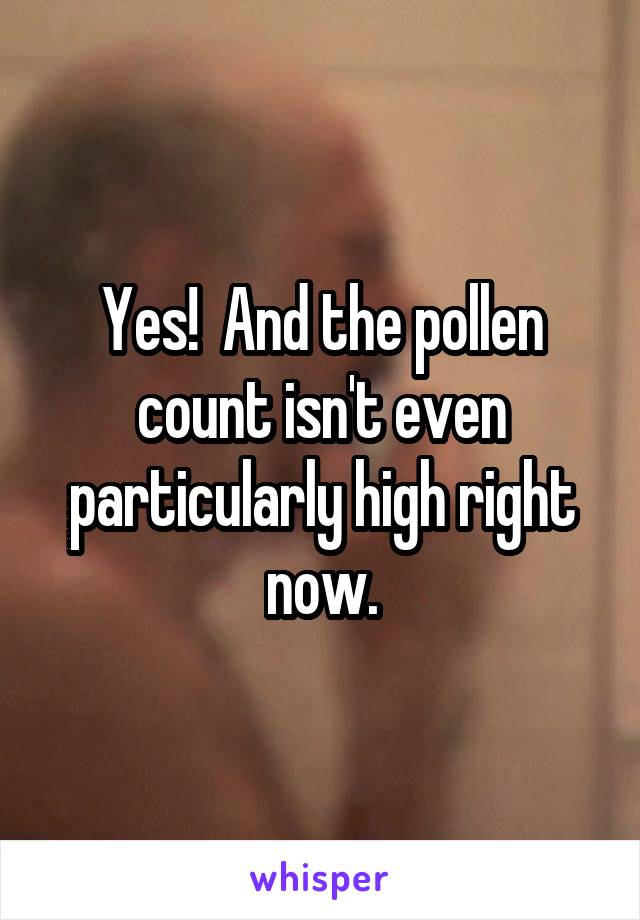 Yes!  And the pollen count isn't even particularly high right now.