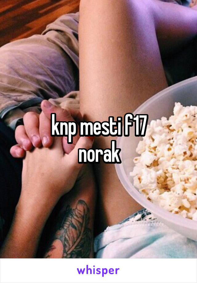 knp mesti f17
norak