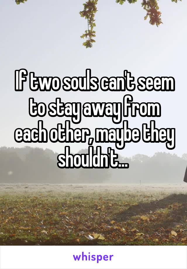 If two souls can't seem to stay away from each other, maybe they shouldn't... 
