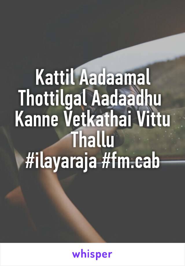 Kattil Aadaamal Thottilgal Aadaadhu 
Kanne Vetkathai Vittu Thallu
#ilayaraja #fm.cab