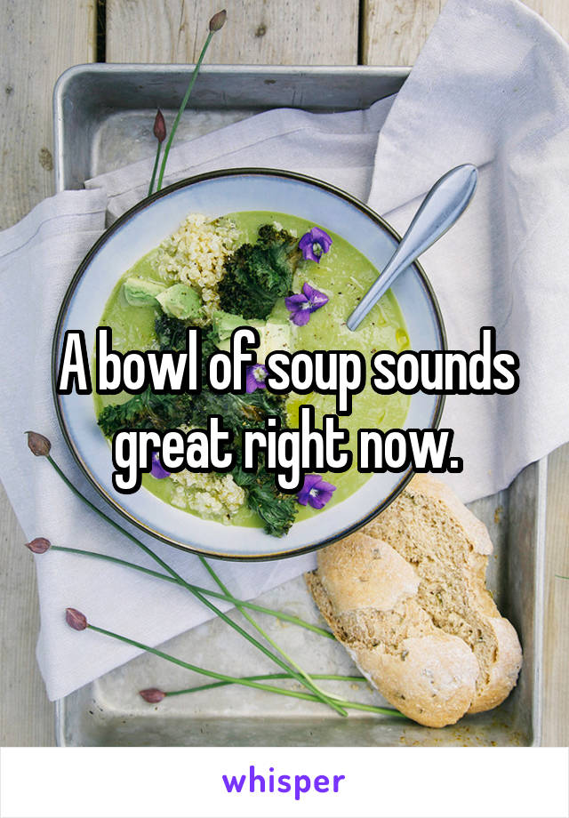 A bowl of soup sounds great right now.