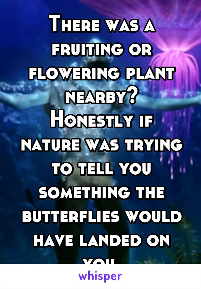 There was a fruiting or flowering plant nearby?
Honestly if nature was trying to tell you something the butterflies would have landed on you.