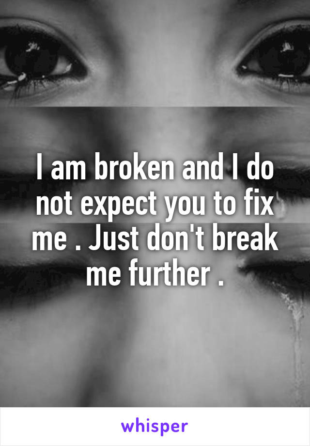 I am broken and I do not expect you to fix me . Just don't break me further .