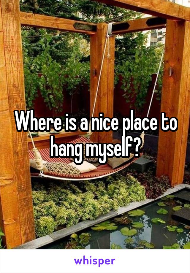 Where is a nice place to hang myself?