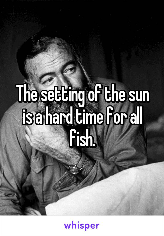 The setting of the sun is a hard time for all fish.