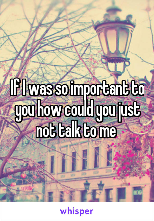 If I was so important to you how could you just not talk to me 