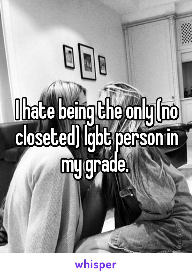 I hate being the only (no closeted) lgbt person in my grade. 