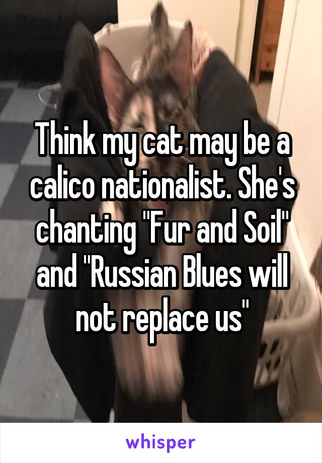 Think my cat may be a calico nationalist. She's chanting "Fur and Soil" and "Russian Blues will not replace us"