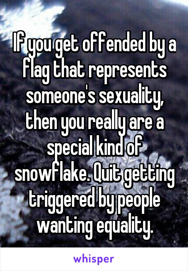 If you get offended by a flag that represents someone's sexuality, then you really are a special kind of snowflake. Quit getting triggered by people wanting equality.