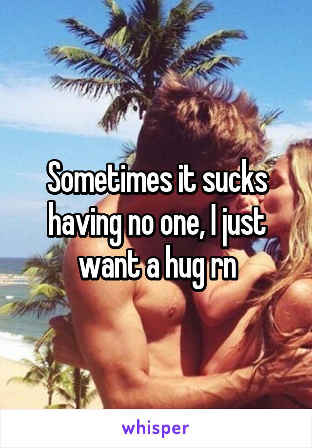 Sometimes it sucks having no one, I just want a hug rn