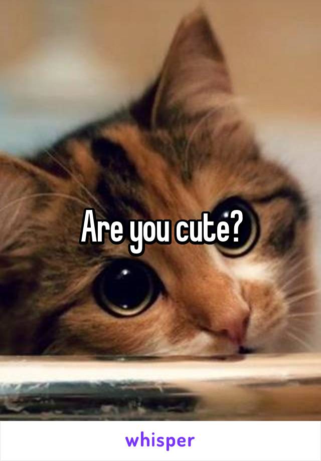 Are you cute?