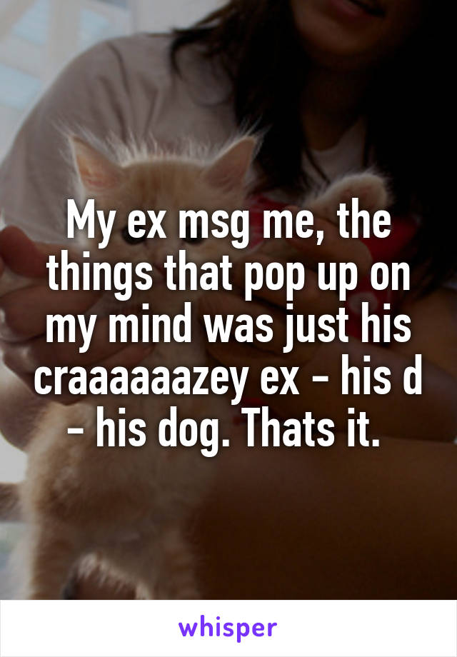 My ex msg me, the things that pop up on my mind was just his craaaaaazey ex - his d - his dog. Thats it. 