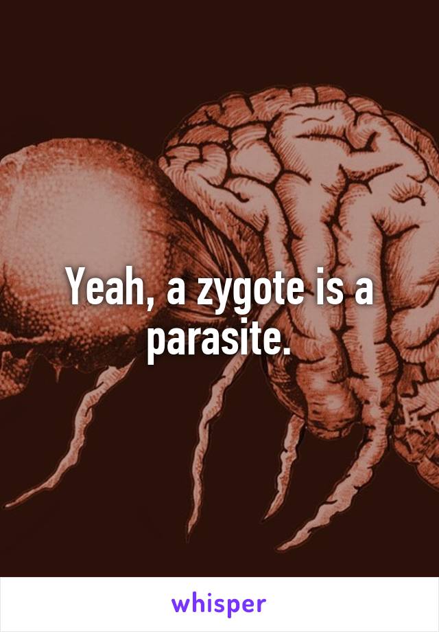 Yeah, a zygote is a parasite.