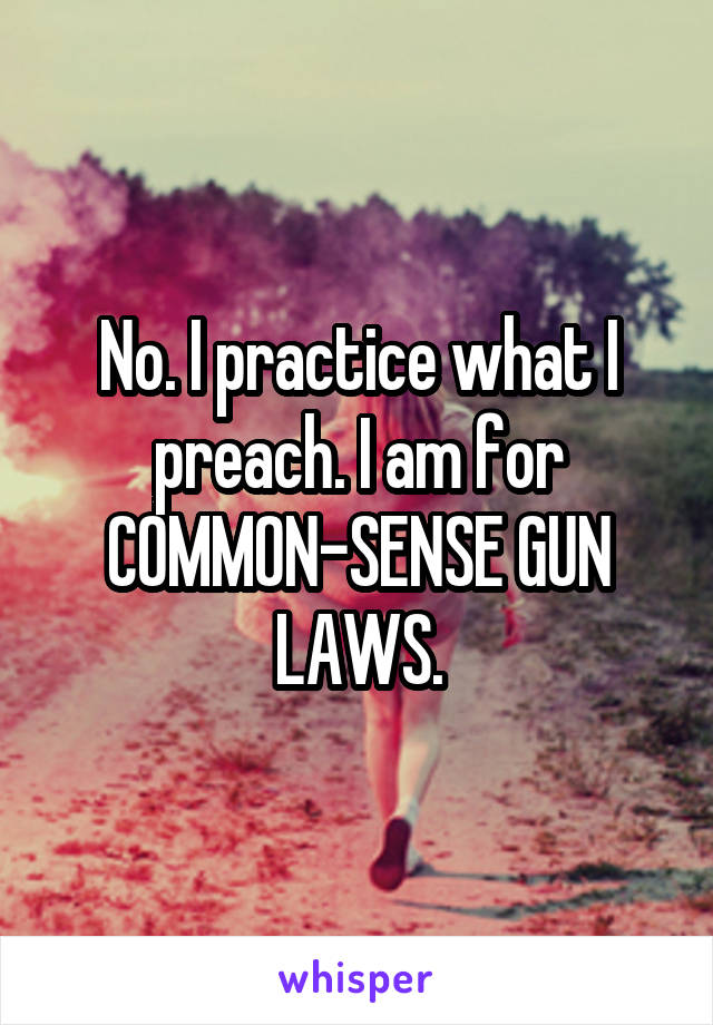 No. I practice what I preach. I am for COMMON-SENSE GUN LAWS.