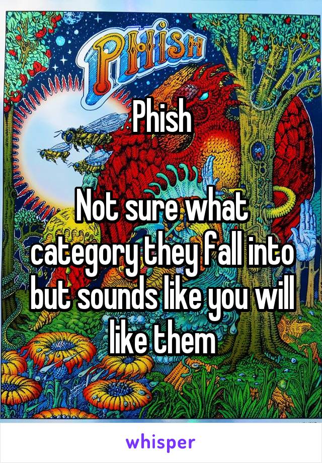 Phish

Not sure what category they fall into but sounds like you will like them