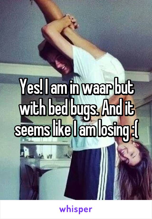 Yes! I am in waar but with bed bugs. And it seems like I am losing :(