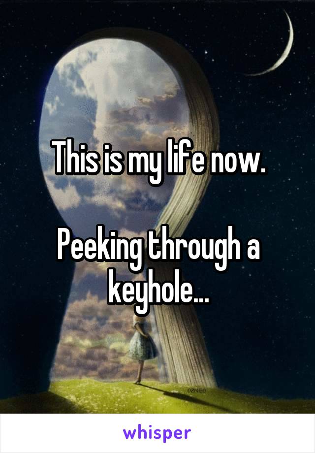 This is my life now.

Peeking through a keyhole...