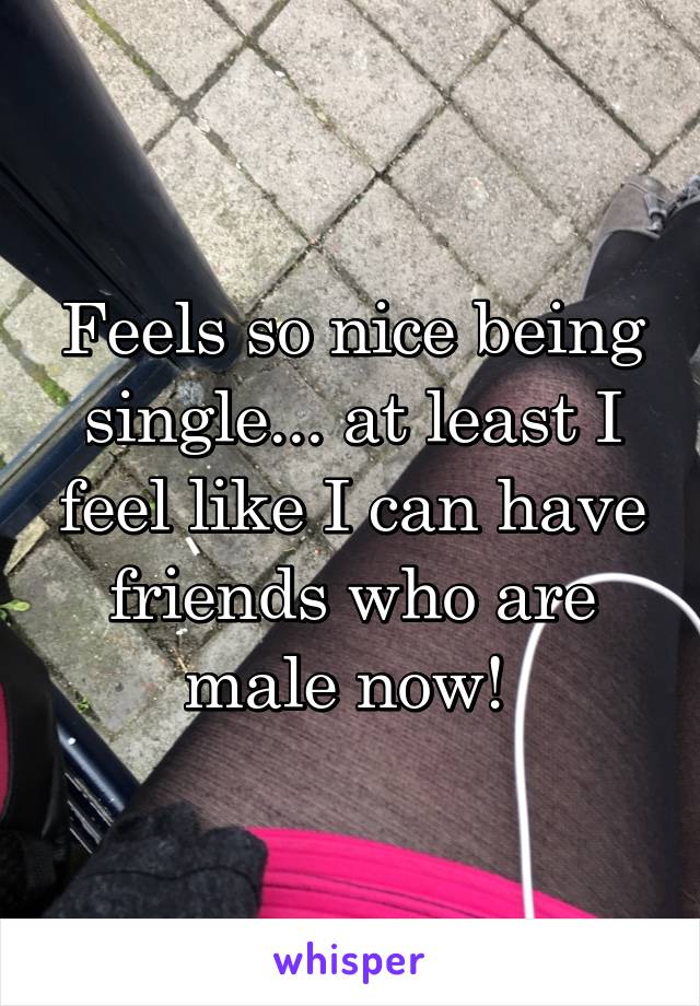 Feels so nice being single... at least I feel like I can have friends who are male now! 