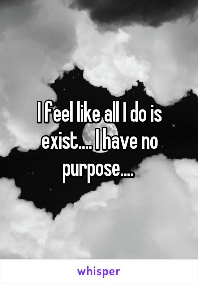 I feel like all I do is exist.... I have no purpose.... 