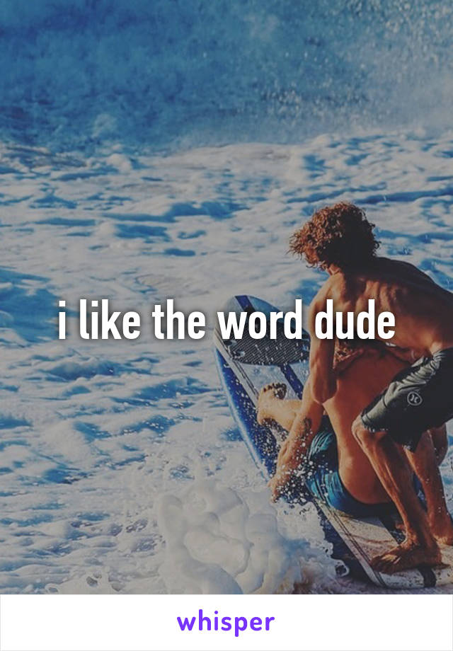 i like the word dude