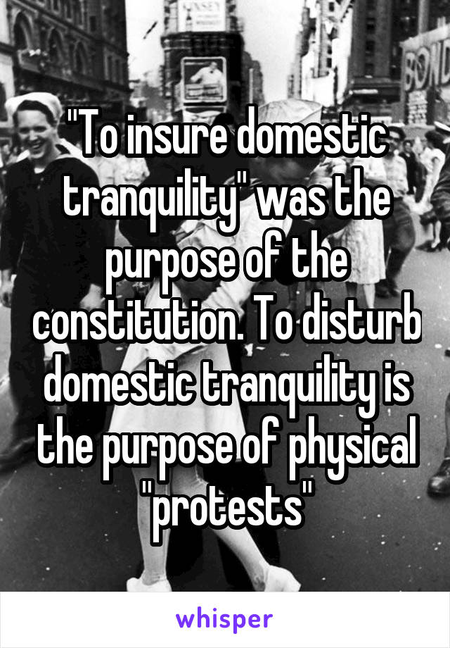 "To insure domestic tranquility" was the purpose of the constitution. To disturb domestic tranquility is the purpose of physical "protests"