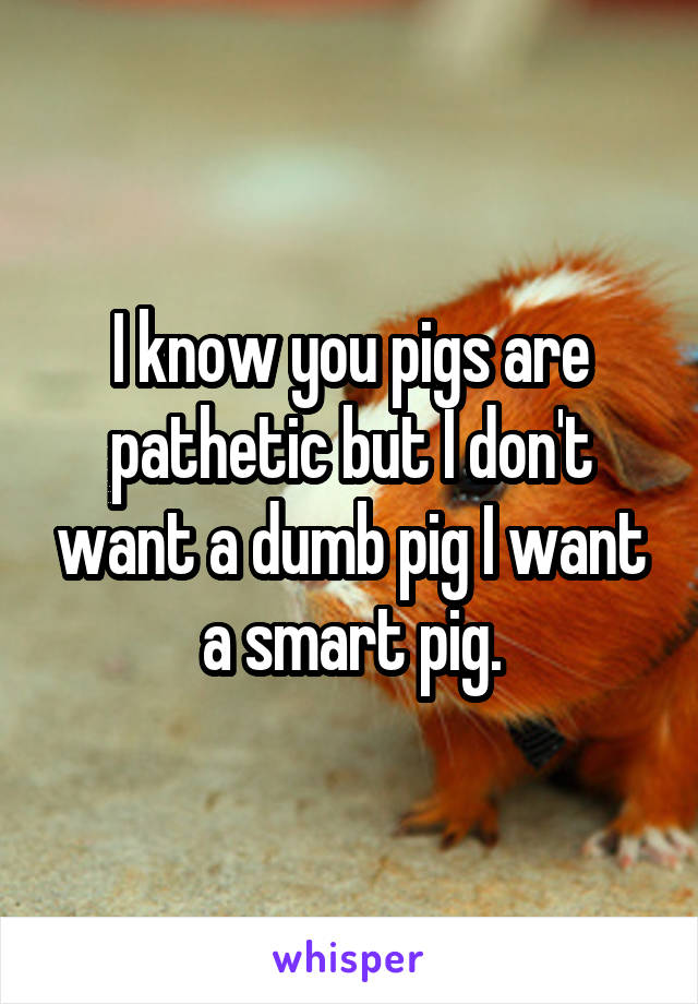 I know you pigs are pathetic but I don't want a dumb pig I want a smart pig.