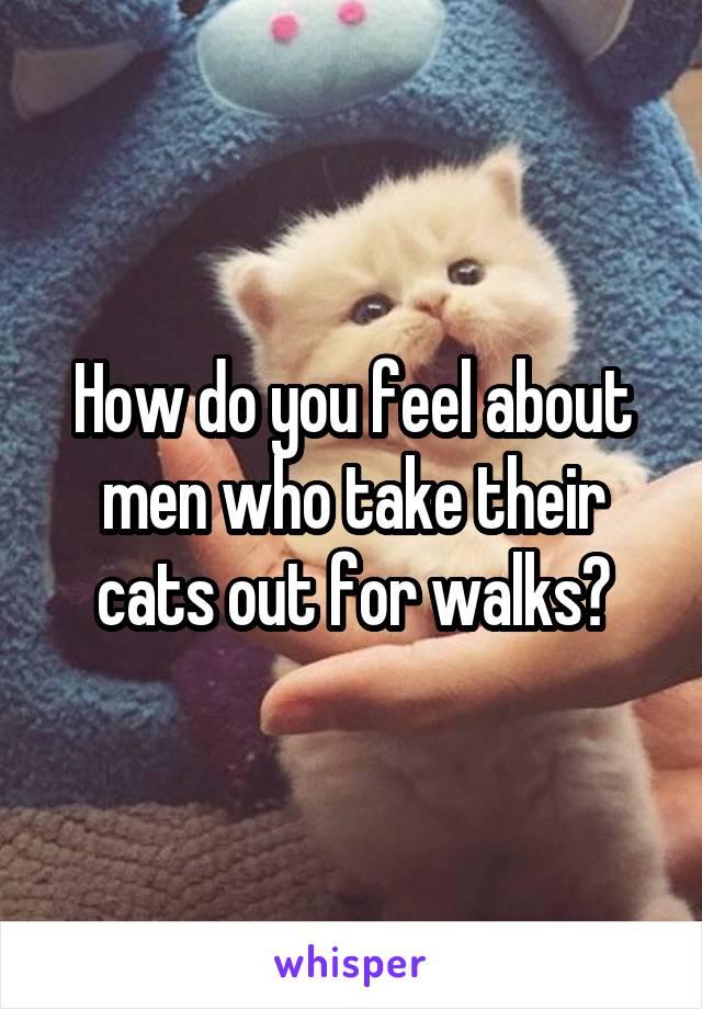 How do you feel about men who take their cats out for walks?