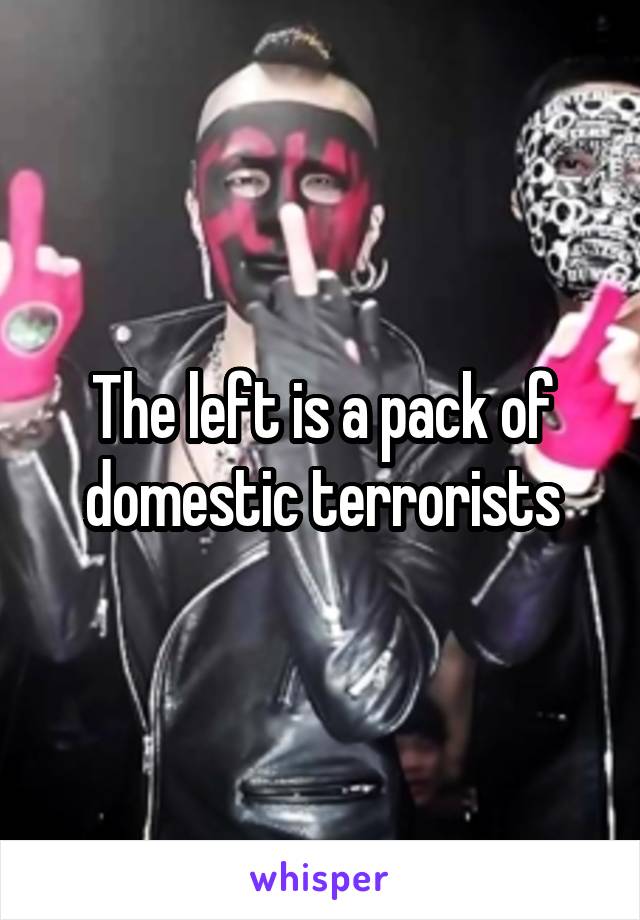 The left is a pack of domestic terrorists