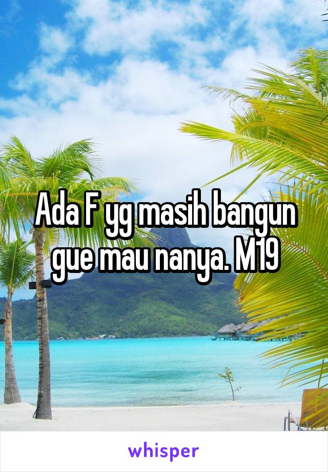 Ada F yg masih bangun gue mau nanya. M19