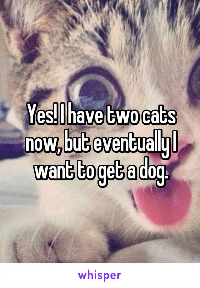 Yes! I have two cats now, but eventually I want to get a dog.