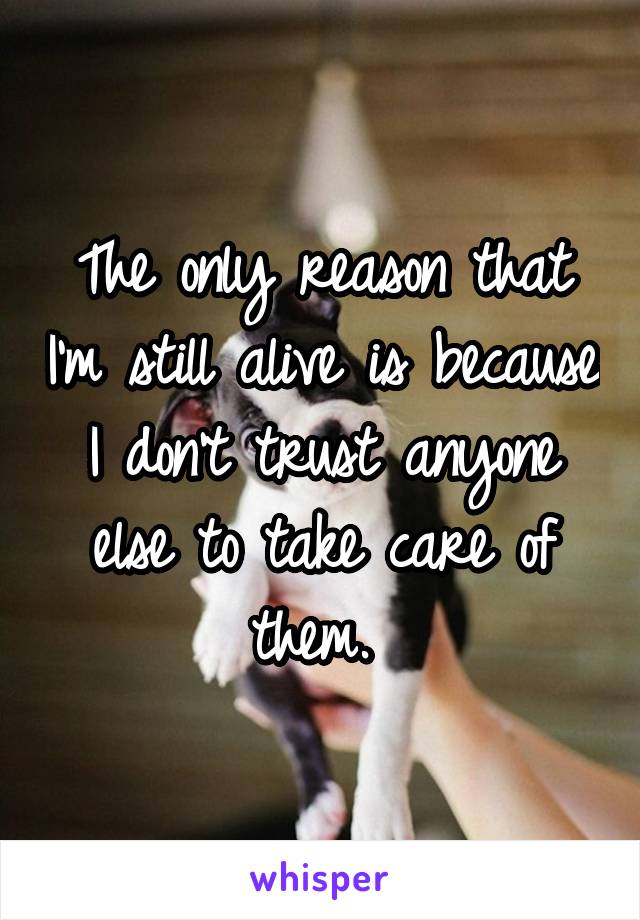 The only reason that I'm still alive is because I don't trust anyone else to take care of them. 