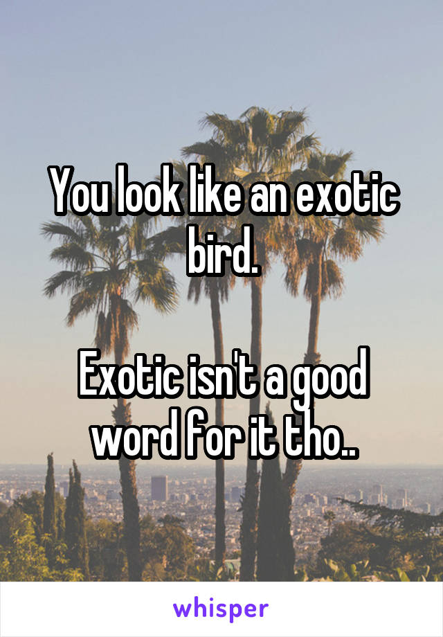 You look like an exotic bird.

Exotic isn't a good word for it tho..