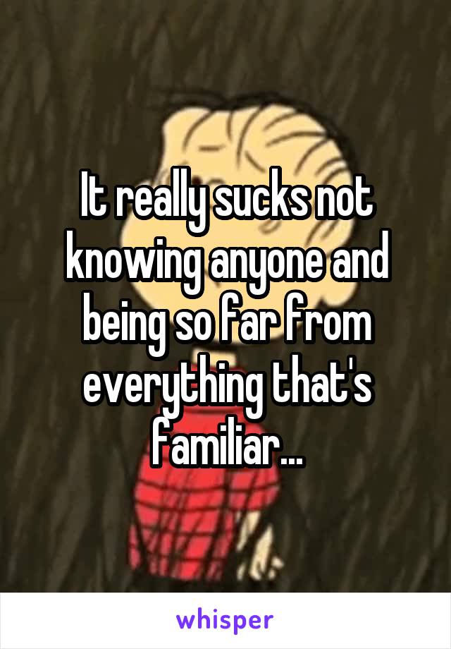 It really sucks not knowing anyone and being so far from everything that's familiar...