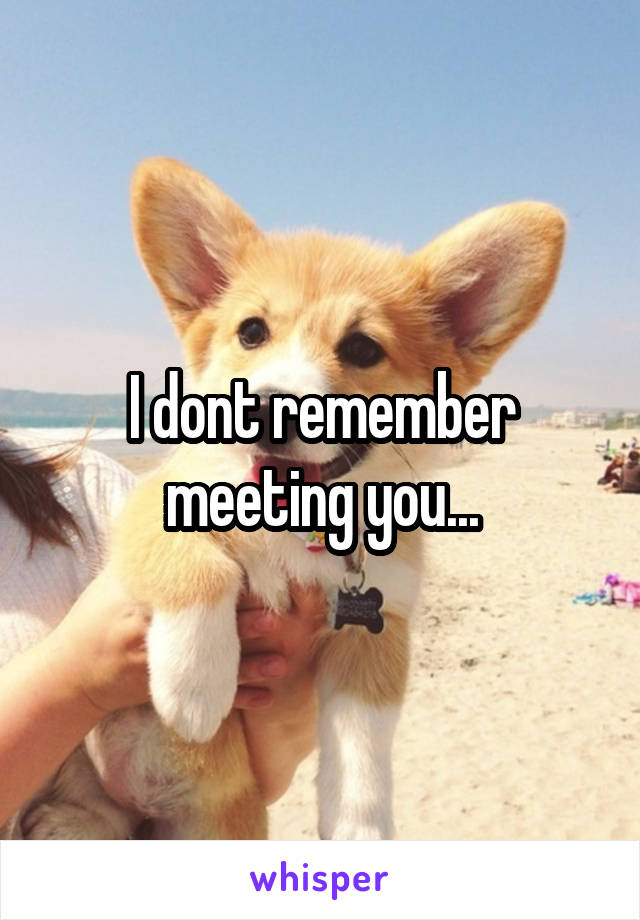 I dont remember meeting you...