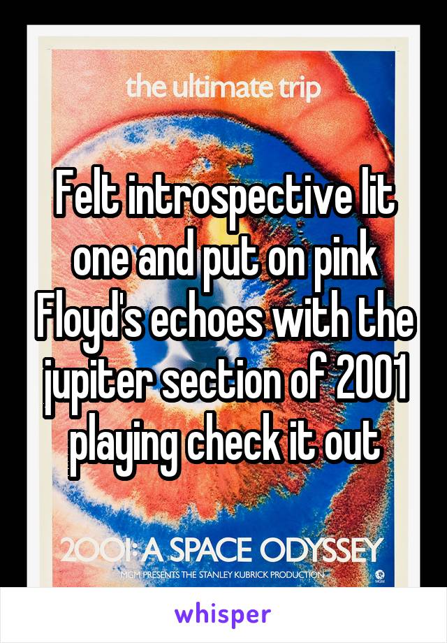 Felt introspective lit one and put on pink Floyd's echoes with the jupiter section of 2001 playing check it out