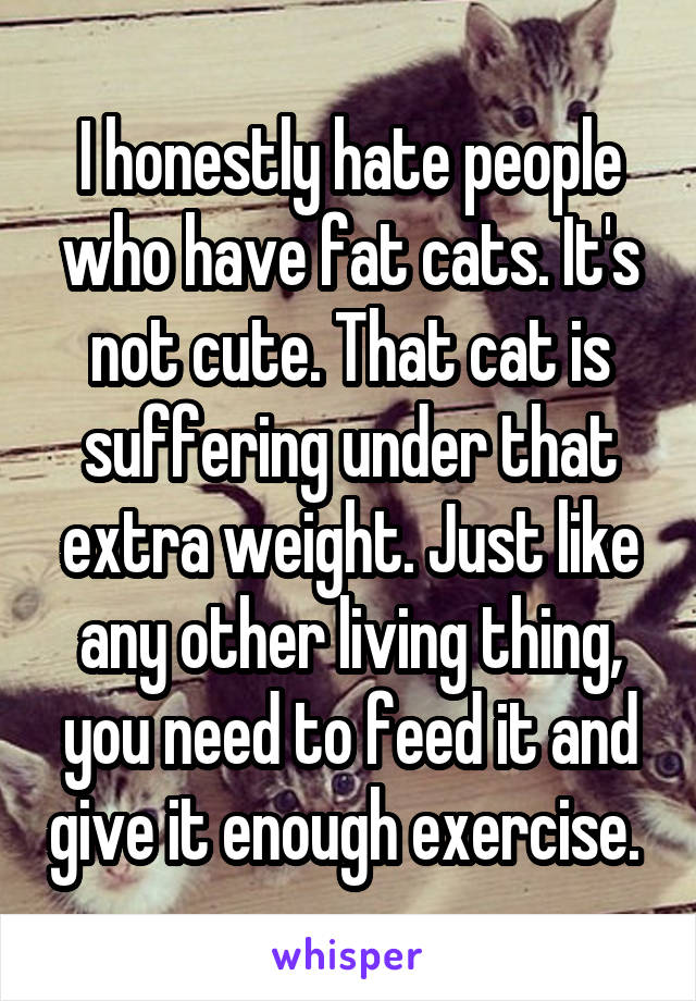 I honestly hate people who have fat cats. It's not cute. That cat is suffering under that extra weight. Just like any other living thing, you need to feed it and give it enough exercise. 