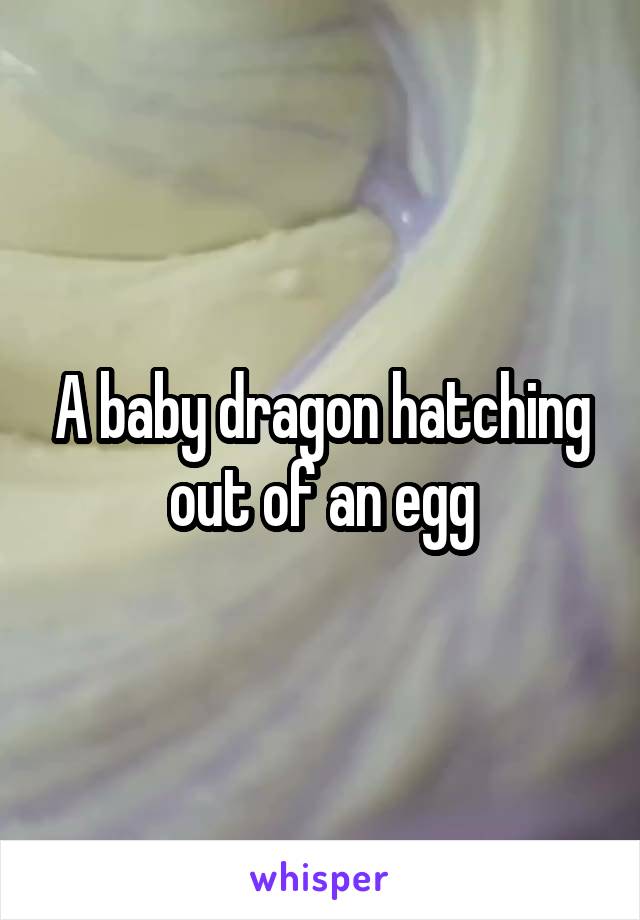 A baby dragon hatching out of an egg