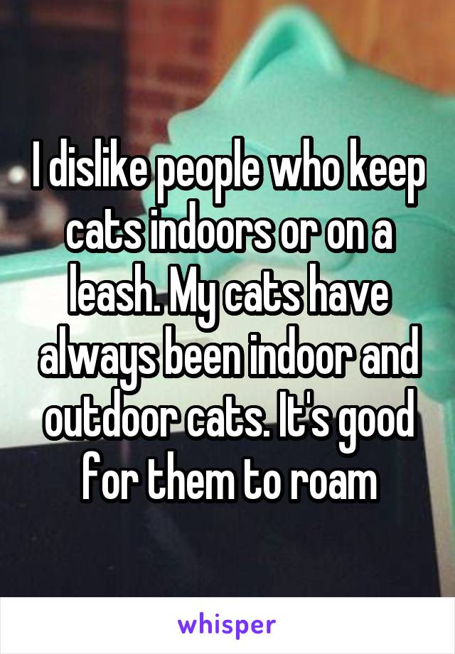 I dislike people who keep cats indoors or on a leash. My cats have always been indoor and outdoor cats. It's good for them to roam