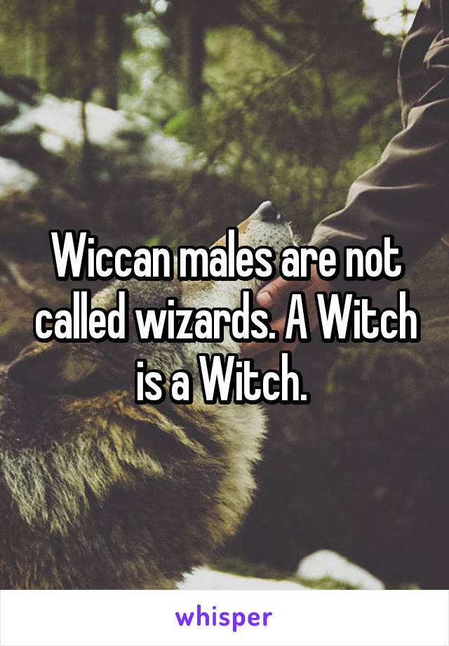 Wiccan males are not called wizards. A Witch is a Witch. 