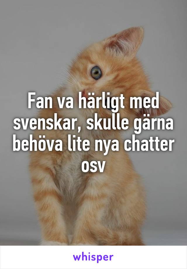 Fan va härligt med svenskar, skulle gärna behöva lite nya chatter osv