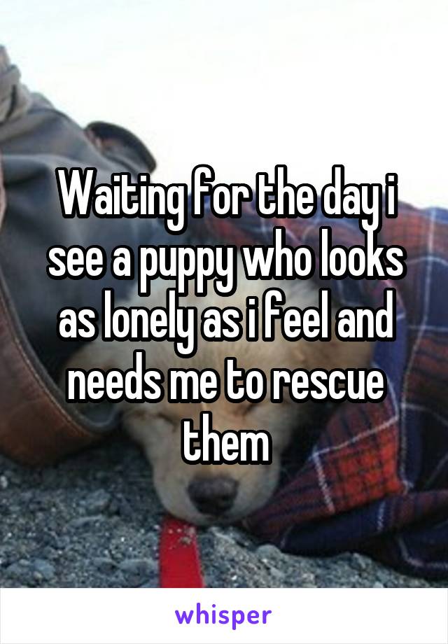 Waiting for the day i see a puppy who looks as lonely as i feel and needs me to rescue them